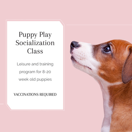 Puppy Play Socialization Class Instagram Design Template