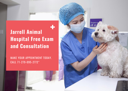 Vet Clinic And Doctor Holding Dog Postcard 5x7in Design Template