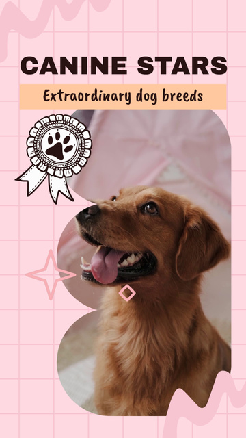 High-Grade Purebred Dog Breeds Available Locally Instagram Video Story Design Template