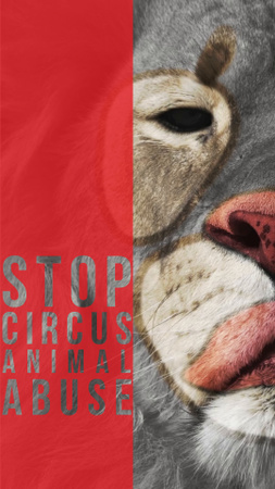 cobertura do abuso de animais circenses questão social Instagram Video Story Modelo de Design