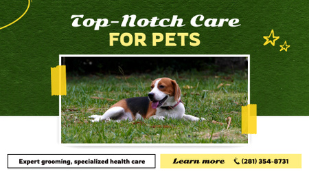 Expert-level Care And Grooming For Pets Offer Full HD video Design Template