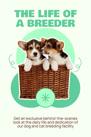 Plantilla de diseño de Pequeños cachorros de Corgi Galés sentados en una cesta Pinterest 