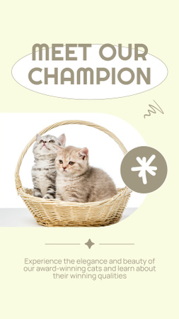 Designvorlage Preisträger-Kätzchen im Korb für Instagram Video Story