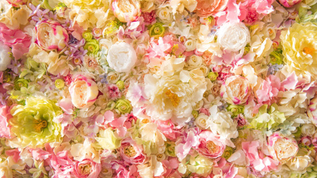 Plantilla de diseño de Beautiful tender Flowers Roses Zoom Background 