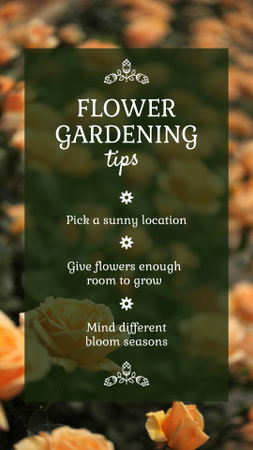 Flower Gardening Tips With Roses Blooming TikTok Video Design Template