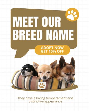 Template di design Offerte speciali per adozioni canine Instagram Post Vertical