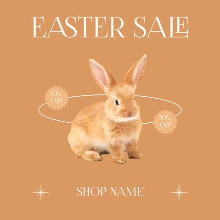 Easter Sale Announcement with Little Fluffy Red Rabbit Instagram Design Template