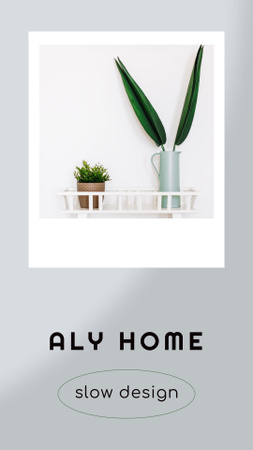 Interior Design Offer with Houseplants Instagram Story Design Template