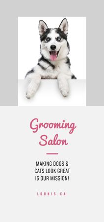 Template di design Grooming Salon Services Ad with Cute Dog Flyer DIN Large