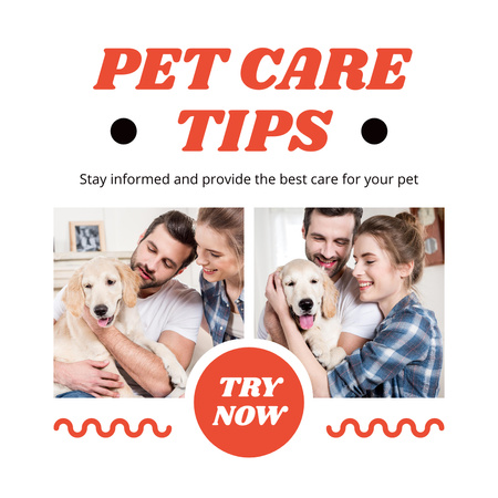 Pet Care Tips Instagram AD Design Template