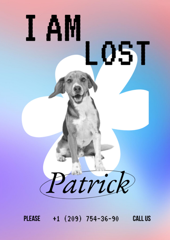 Announcement about Missing Dog Patrick Flyer A4 tervezősablon