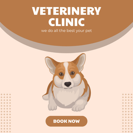 Offer of Veterinary Clinic Services with Cute Corgi Instagram AD Design Template