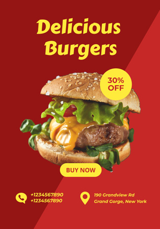Fast Food Offer with Delicious Burger on Red Poster 28x40in Design Template
