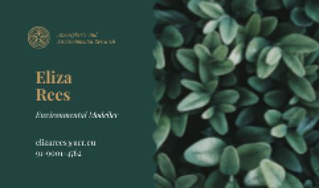 Template di design Green Plant Leaves Business card