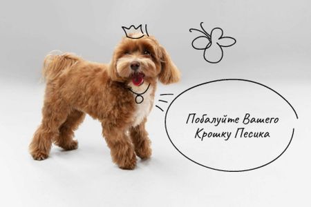 счастливая собака для прогулок Gift Certificate – шаблон для дизайна