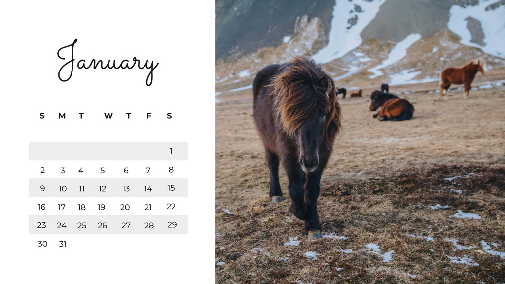 Ontwerpsjabloon van Calendar van Wild Animals in natural habitat