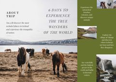 Iceland Tours Offer with Mountains and Horses