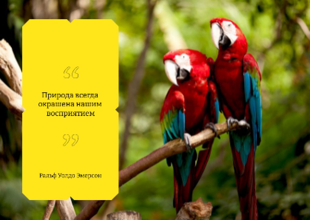 Plantilla de diseño de Ara birds in jungle Postcard 