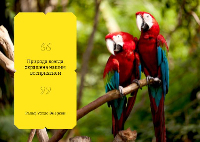Designvorlage Ara birds in jungle für Postcard