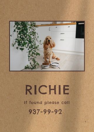 Plantilla de diseño de Lost Dog information with cute pet Flayer 