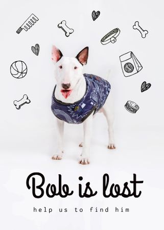 Lost Dog information with cute Bull Terrier Flayer Modelo de Design