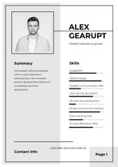 Professional Software Engineer profile