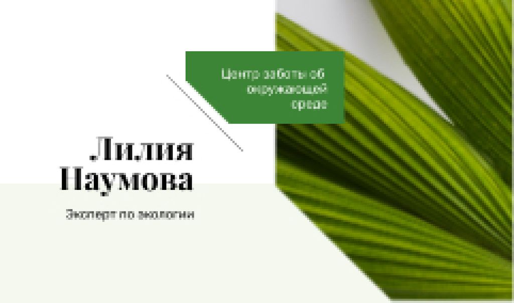 Ontwerpsjabloon van Business card van Green Plant Leaves Frame