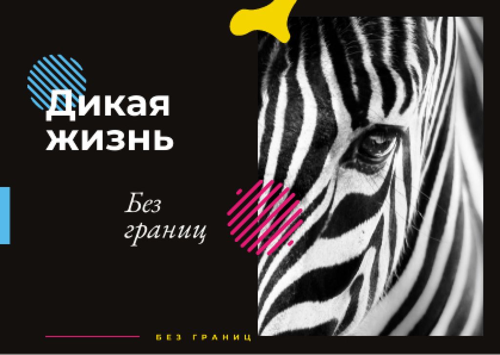 Modèle de visuel Wild zebra animal - Postcard